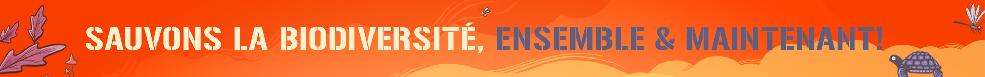 /media/images/BANNIERE_WEB.2e16d0ba.fill-1920x150.png