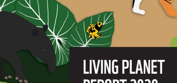 Jongerenversie Living Planet Report
