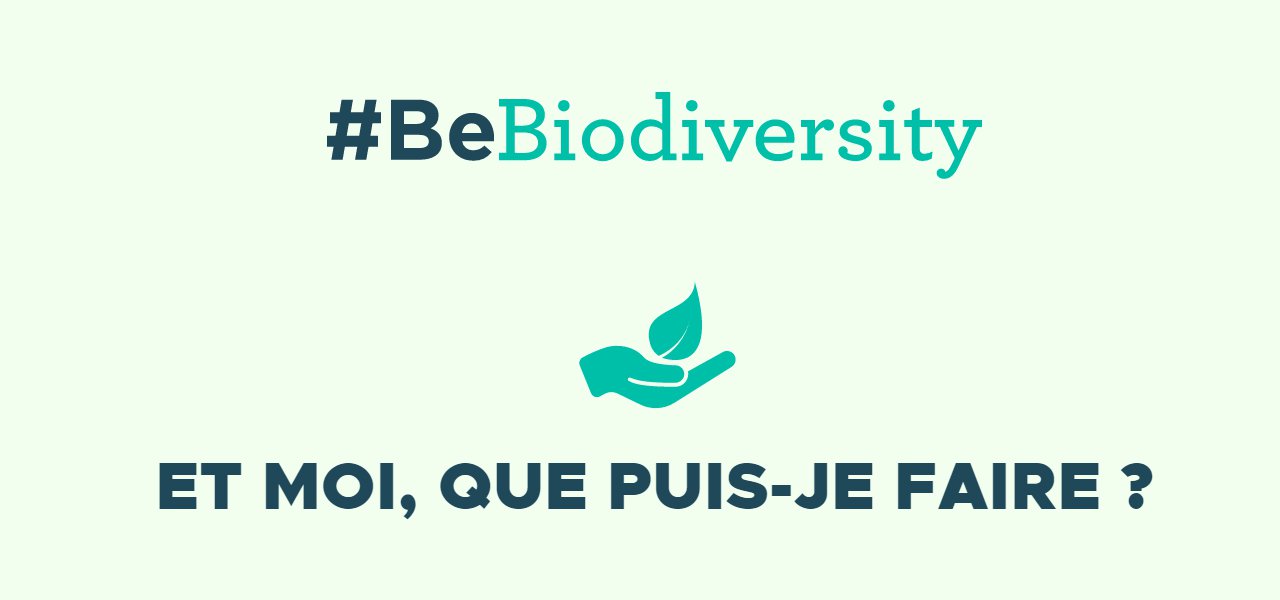 Préserver la biodiversité : notre responsabilité à tous. Et moi, que puis-je faire ?