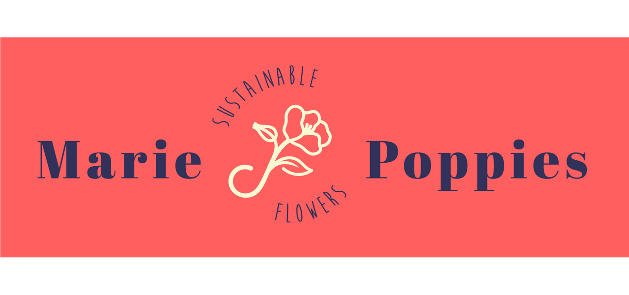 Marie Poppies - sustainable flowers