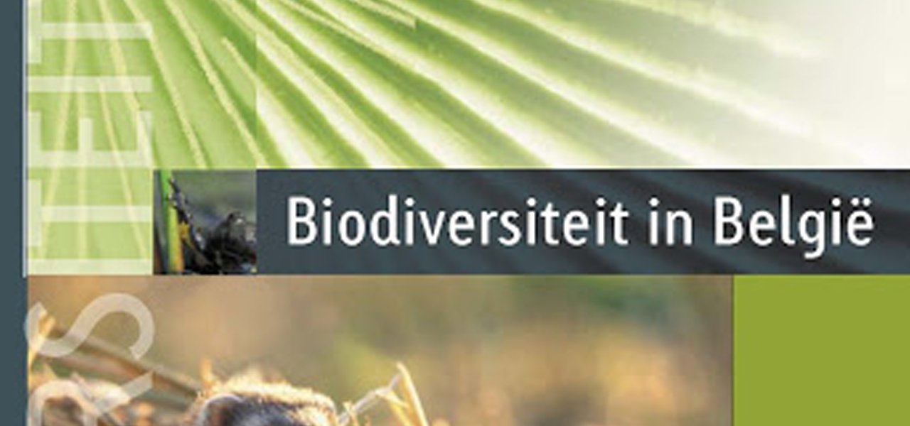 Brochure Biodiversiteit in België: een overzicht